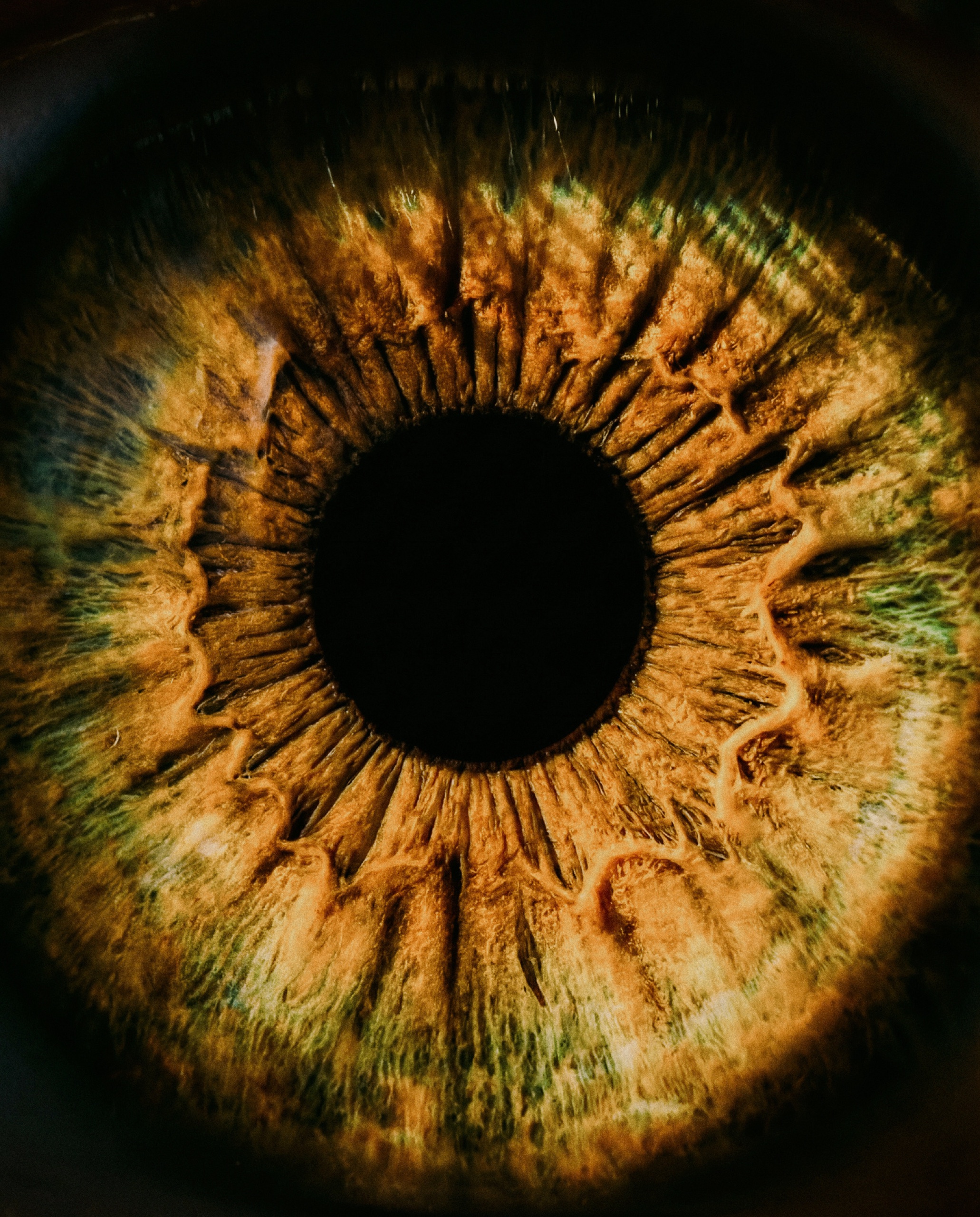UU